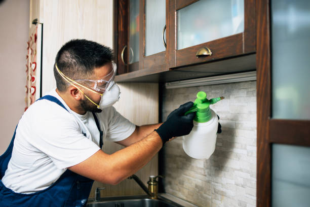 Best Affordable Exterminators  in Southworth, WA