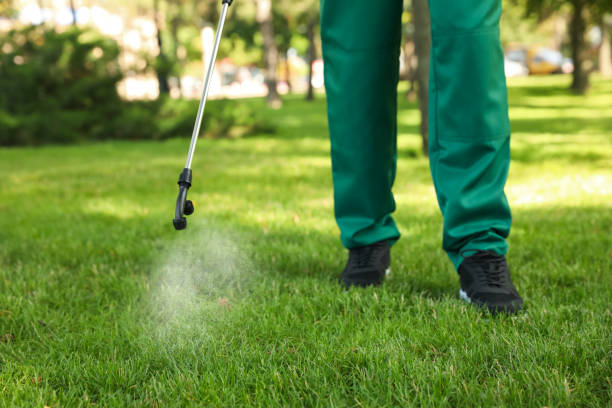 Best Pest Inspection Near Me  in Southworth, WA