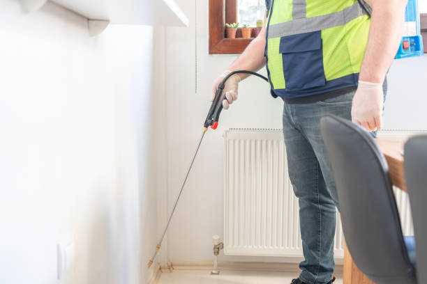 Best Termite Control Services  in Southworth, WA