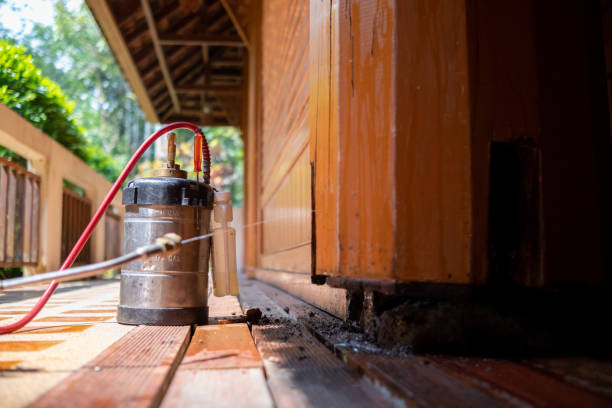 Best Residential Pest Control  in Southworth, WA
