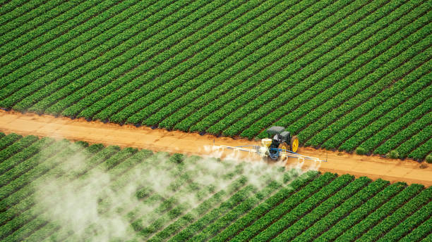  Southworth, WA Pest Control Pros