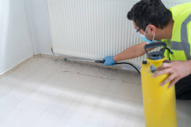 Best Emergency Pest Control  in Southworth, WA